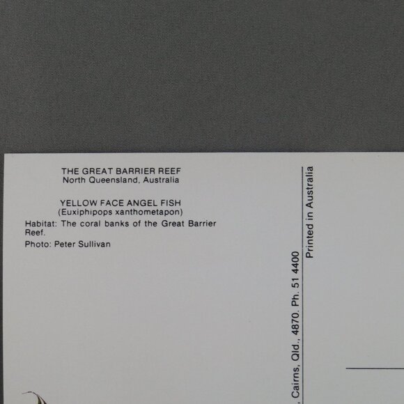 Vintage Postcard - Yellow Face Angelfish Great Barrier Reef - Peer Productions - Picture 3 of 4